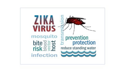 Zika virus prevention