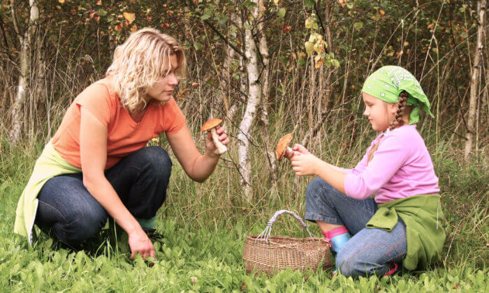 Mother and daughter picking mushrooms