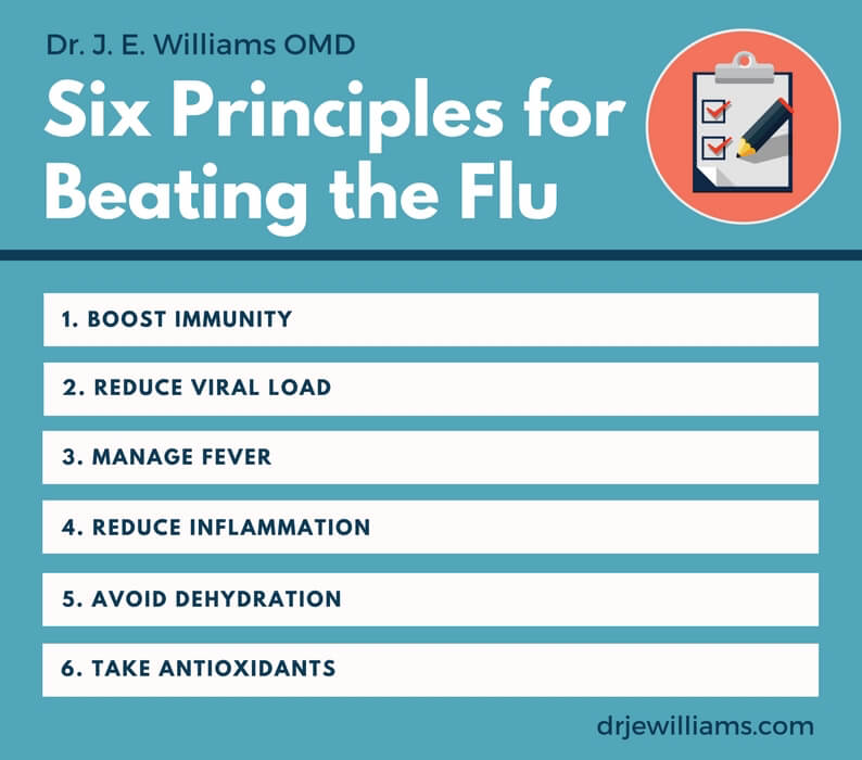 Six principles for beating the Flu