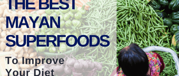 Best Mayan Superfoods to improve your diet