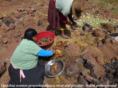 Quechua women preparing alpaca meat and potatoes baked underground