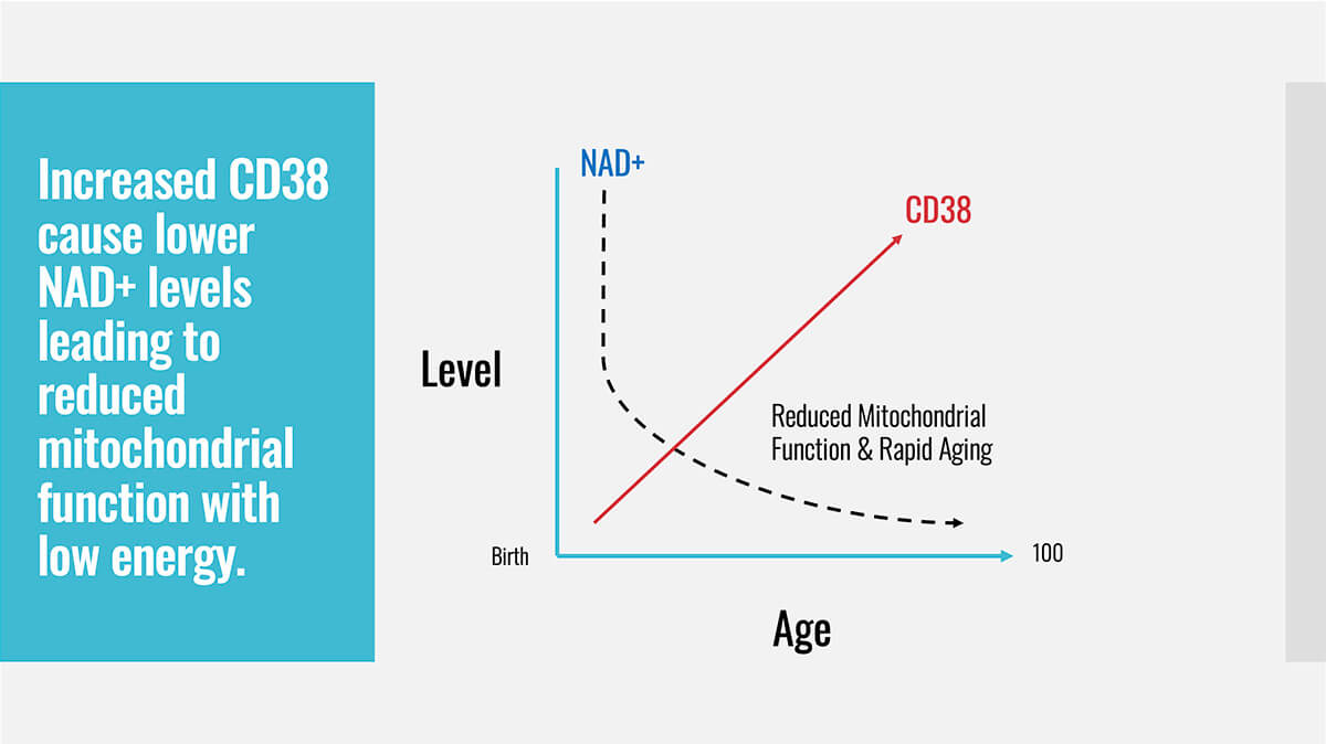 NAD Graphic level vs age