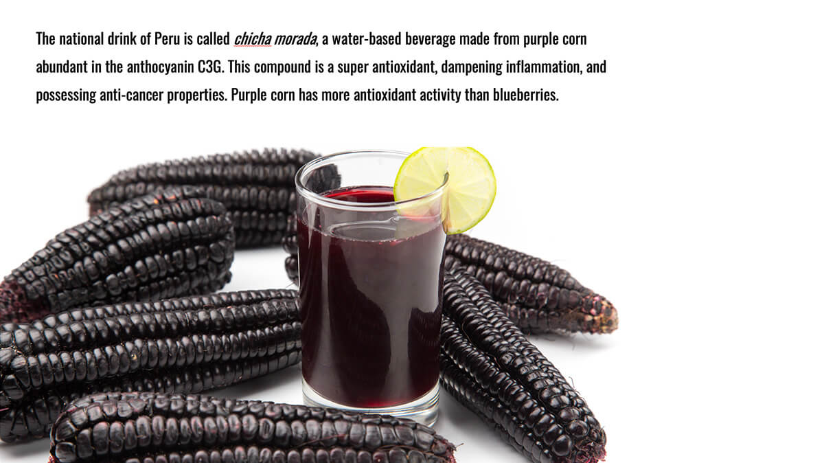 Black corn, Peruvian national drink "chicha morada"