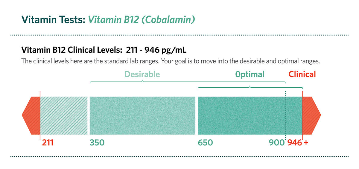 Vitamin B 12 - Blood Test Graphic