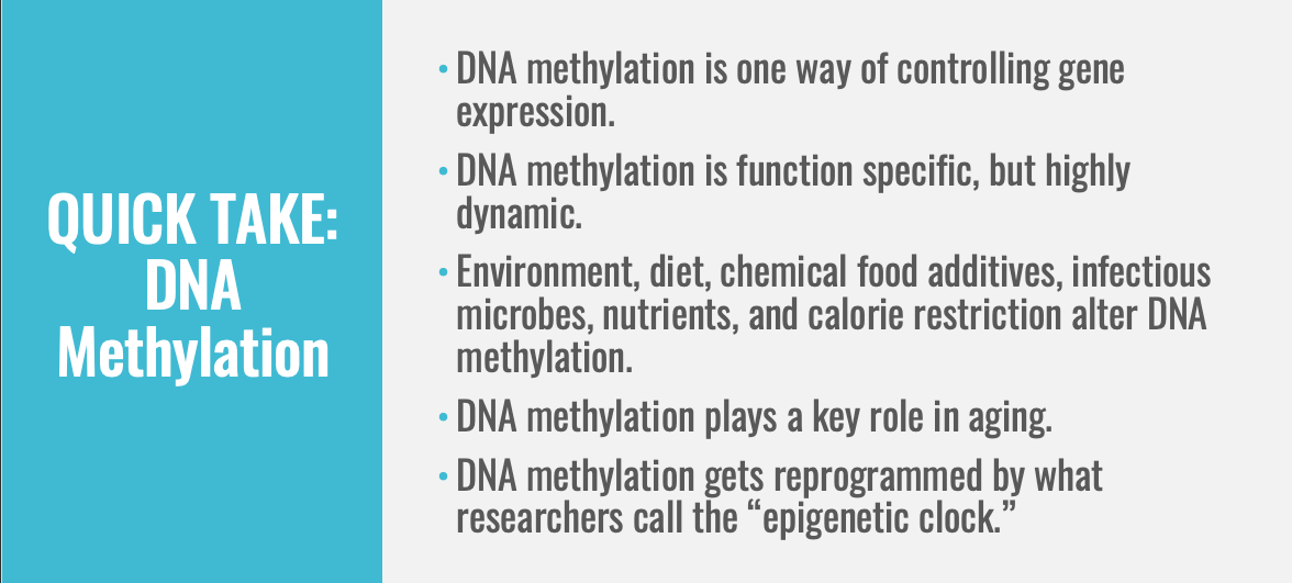 Quick take: DNA Methylation
