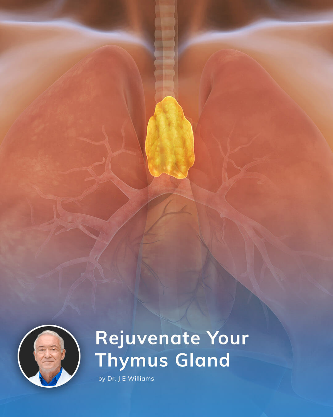 Living Without Your Thymus Gland: Are You Missing Out?