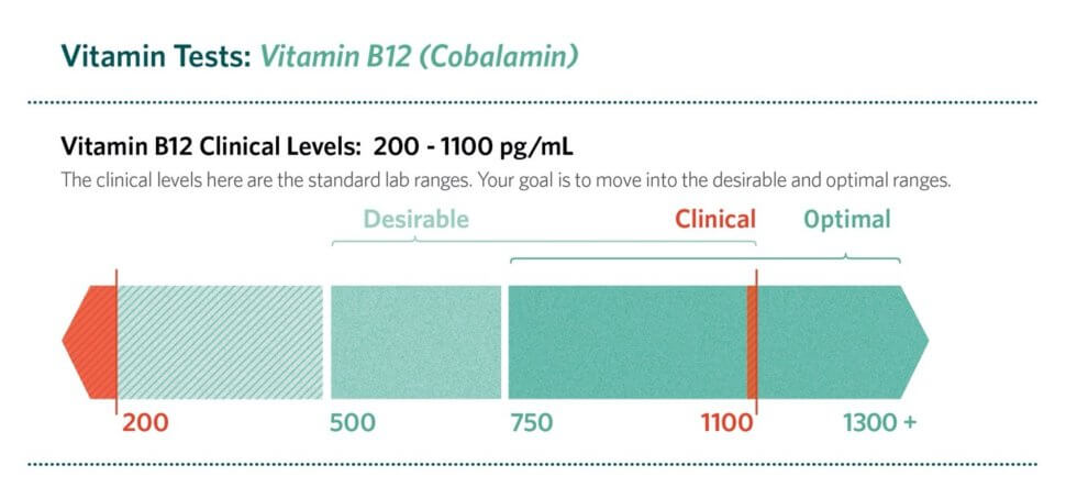 vitamin-b12-essential-for-energy-and-healthy-aging-dr-williams