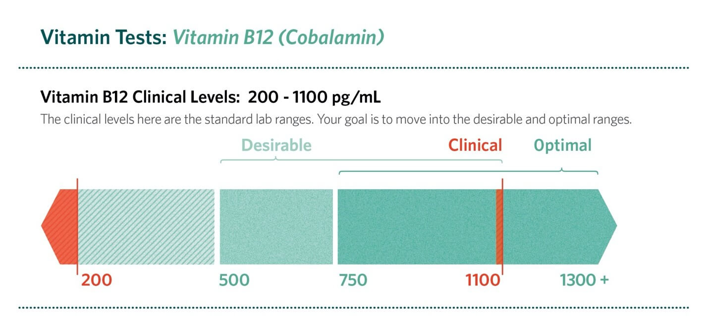 Vitamin B12 Levels Chart