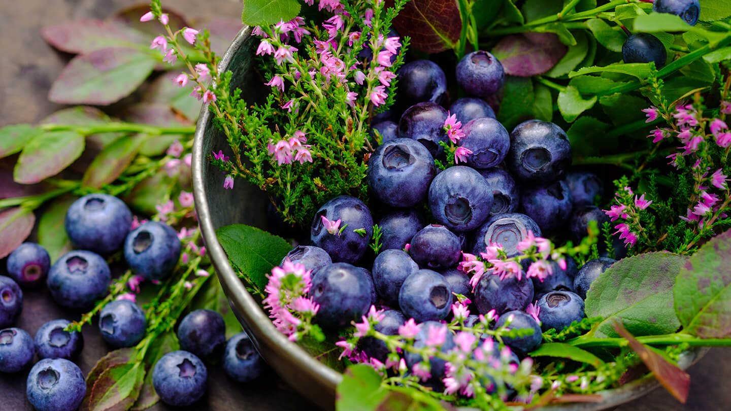 Polyphenols Surprising Health Benefits of These Plant Compounds