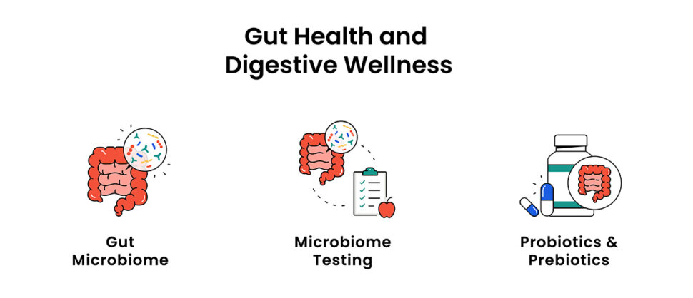 Gut Microbiome - 3