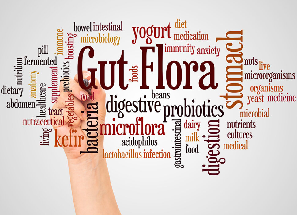 Gut Microbiome - 1